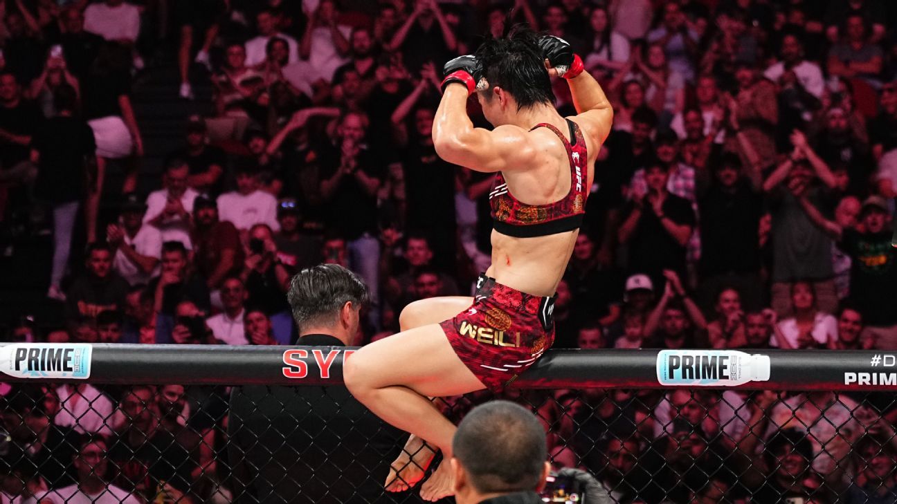 这无疑会对 这无疑会对